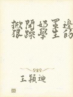 掀开奶罩边躁狠狠躁学生的小文字