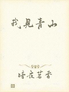 我见青山