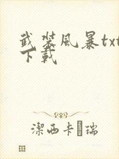 武装风暴txt下载