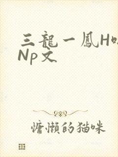 三龙一凤H啪肉Np文