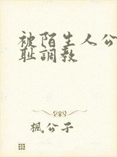 被陌生人公开羞耻调教