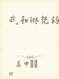 我和琳梵的故事