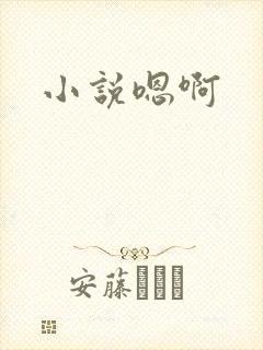 小说嗯啊
