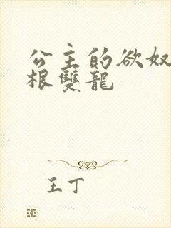 公主的欲奴h四根双龙