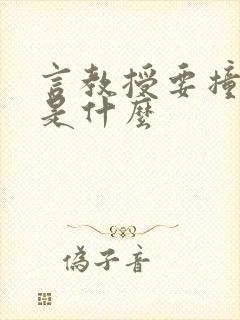 言教授要撞坏了是什么