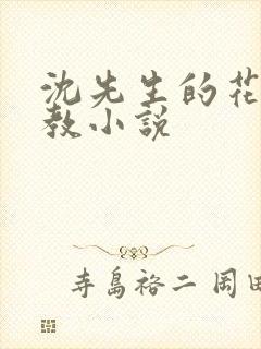 沈先生的花式管教小说