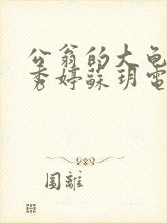 公翁的大龟挺进秀婷苏玥电影