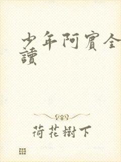 少年阿宾全集阅读