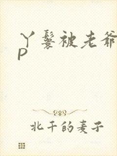 丫鬟被老爷玩NP