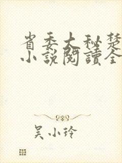 省委大秘楚东恒小说阅读全文