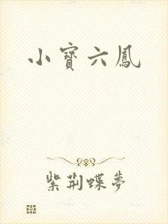 小宝六凤