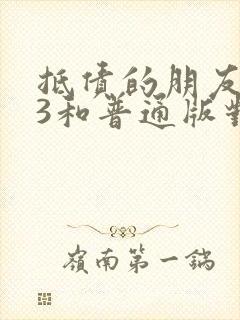 抵债的朋友麦子3和普通版对比