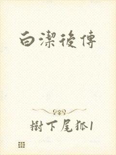 白洁后传