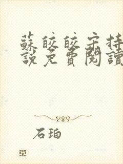 苏皎皎宋持的小说免费阅读