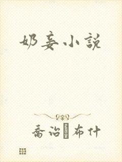 奶妾小说