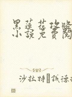 黑莲花攻略手册小说免费阅读