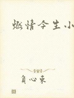燃情今生小说