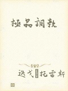 极品调教