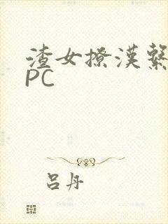 渣女撩汉系统NPC