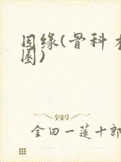 因缘(骨科 校园)