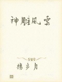 神雕风云