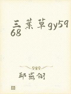 三叶草gy5968