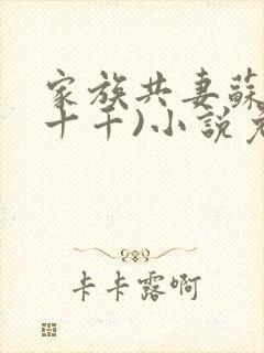 家族共妻苏苏(十千)小说免费