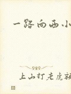 一路向西小说