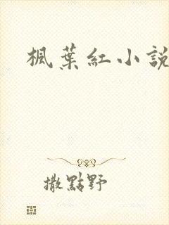枫叶红小说