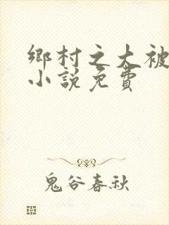 乡村之大被同眠小说免费