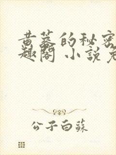 黄蓉的秘密 笔趣阁 小说免费阅读