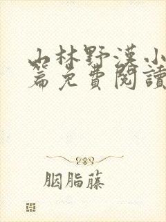 山林野汉小说全篇免费阅读