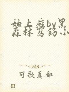 她上瘾by黑暗森林写的小说免费阅读无弹窗