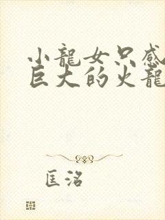 小龙女只感觉那巨大的火龙枪