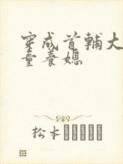 穿成首辅大人的童养媳