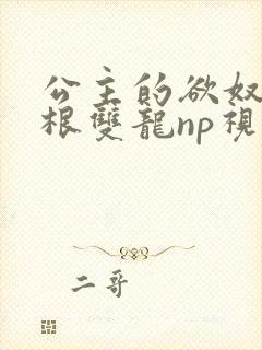 公主的欲奴h四根双龙np视频