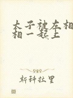 太子被左相和右相一起上