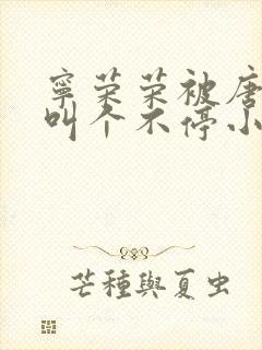 宁荣荣被唐三桶叫个不停小说