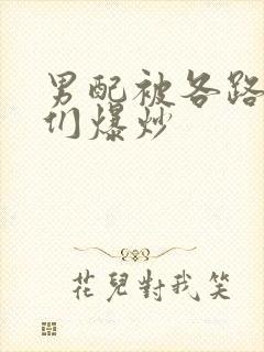 男配被各路大佬们爆炒