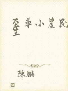 至尊小农民王木生