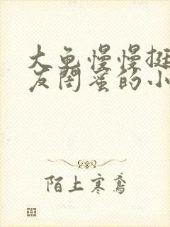 大龟慢慢挺进女友闺蜜的小说