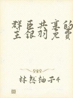 群臣共享的小公主银羽免费阅读