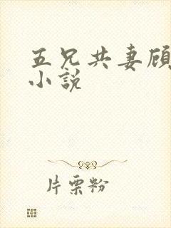 五兄共妻顾心儿小说