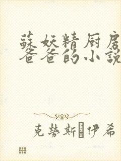 苏妖精厨房爹爹爸爸的小说