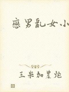 恋男乱女小说