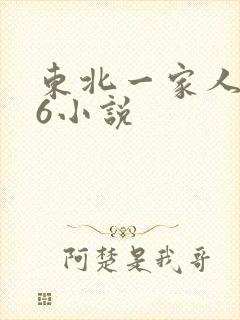 东北一家人1一6小说