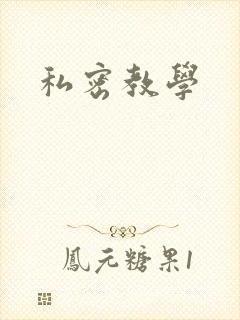 私密教学