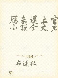 雁未迟上官穿越小说全文免费阅读