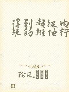 得到超级肉禽系统的维他柠檬茶