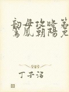 韵母攻略第二部鸾凤朝阳免费阅读